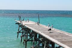 Abrolhos Islands Flyover Tour with Tea